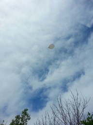 Weekly Photo Challenge: Escape | I Wish I Was a Bird