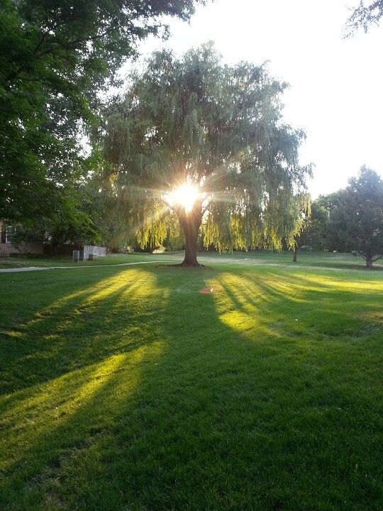 Weekly Photo Challenge: Golden Hour | Colorado Shines Take 2