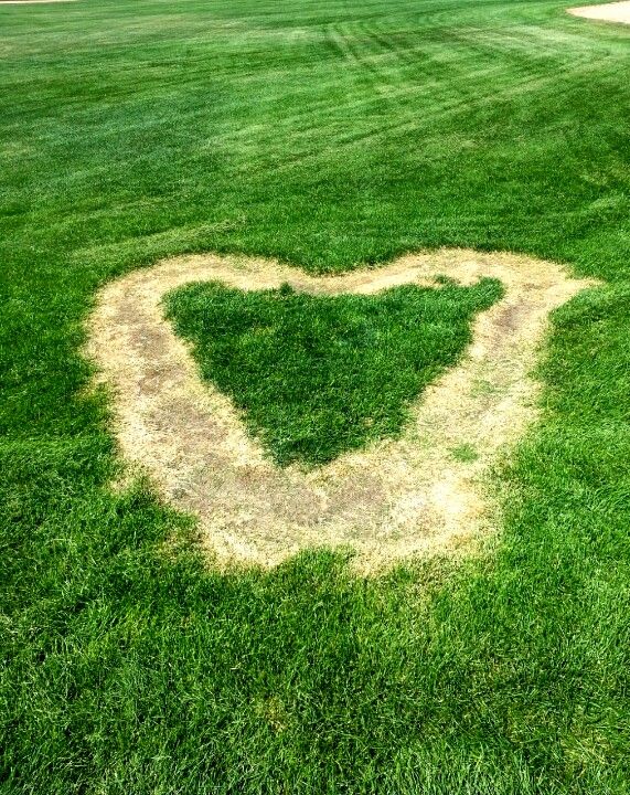 Take a Walk with Peeksi