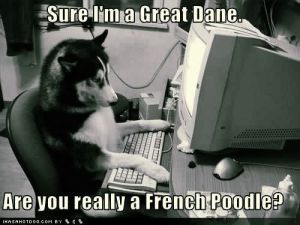 The user you are chatting with may not look like his/her online dating profile photo...question is: do you? Image retrieved via ihasahotdog.com