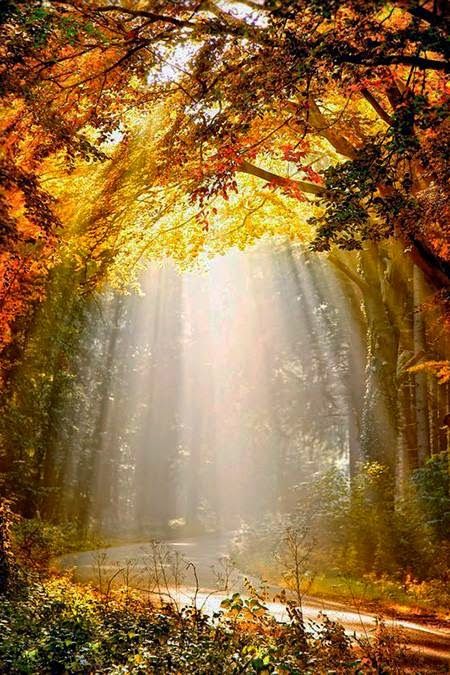 The Sunlight Photograph by Lars van de Goor Retrieved via https://plus.google.com/101642458686621917172/posts/i57UsoT5wBL?cfem=1 